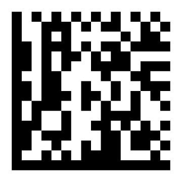 Data matrix barcode